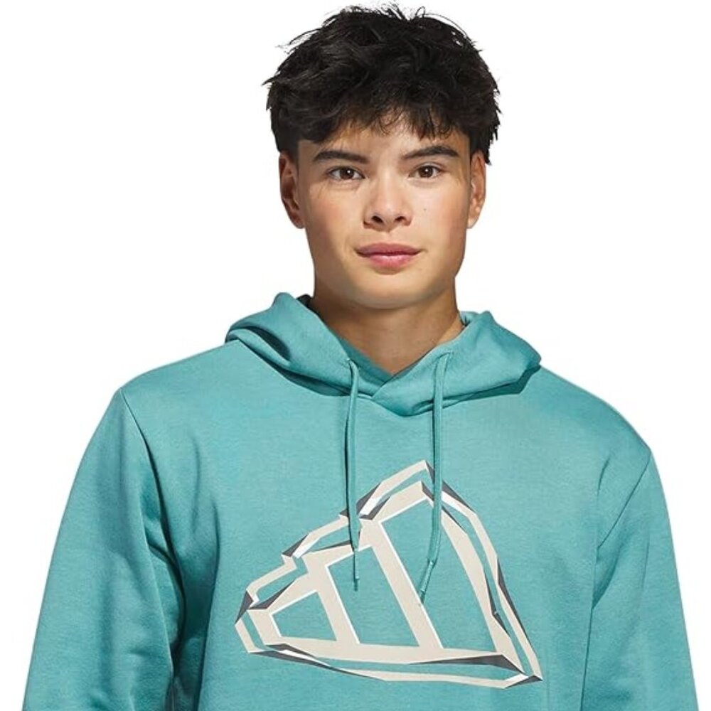 adidas Men's Big Logo Graphic Hoodie